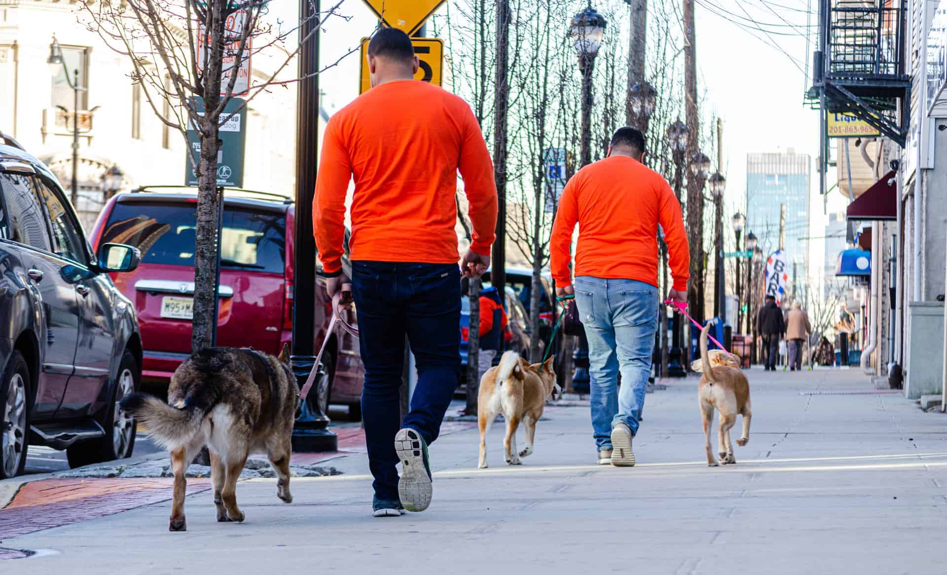 Hudson's Hounds NYC Dog Walking Services